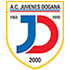 Juvenes/Dogana